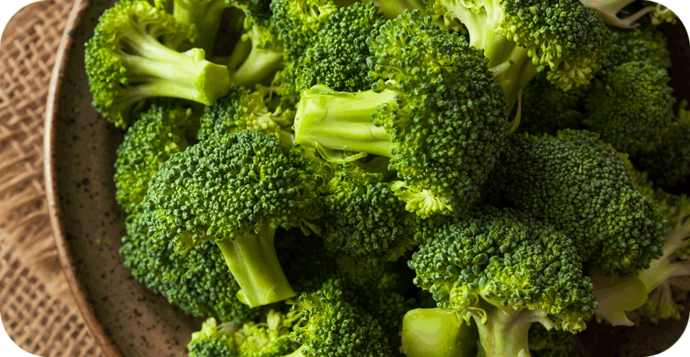 Broccoli- "Organic Crops"