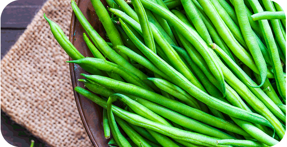 Green Beans - "Organic Crops"