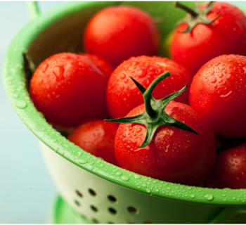 TOMATO PRODUCTS barba stathis